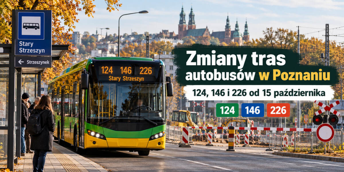 Poznań: zmiany tras autobusów 124, 146 i 226 od 15 października. Które przystanki i połączenia zostają przywrócone?